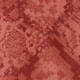 1522311_09518_10-CALCA-GGT-ESTAMPA-SNAKE