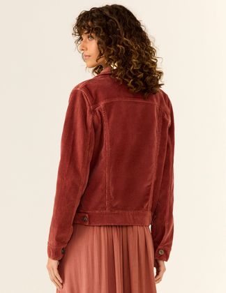 IMAGEM3
